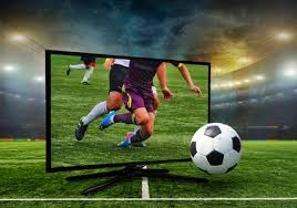 林泓育赛后谈团队执行