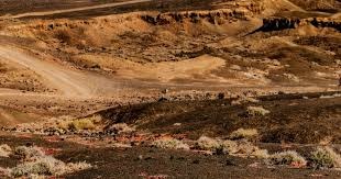 对手彻底被压着打